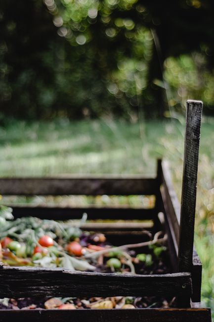 A weathered wooden garden bed with chipped and darkened edges, filled with various rotting fruits and vegetables such as tomatoes, apples, and leafy greens, some showing signs of decay with softening textures and brown spots. The garden bed is situated outdoors on a lush, green lawn, with a background of blurred trees and shrubbery providing dappled sunlight. The soil appears moist and dark, indicating recent watering or rain, and the overall scene reflects garden maintenance and composting activities. The environment suggests a peaceful backyard setting, with natural lighting highlighting the textures of the decaying produce and the rustic appearance of the garden bed, and is representative of instances where gardeners handle plant waste or perform garden cleanup, aligning with garden waste rules for households, as detailed on gardenershammersmith.org.uk.